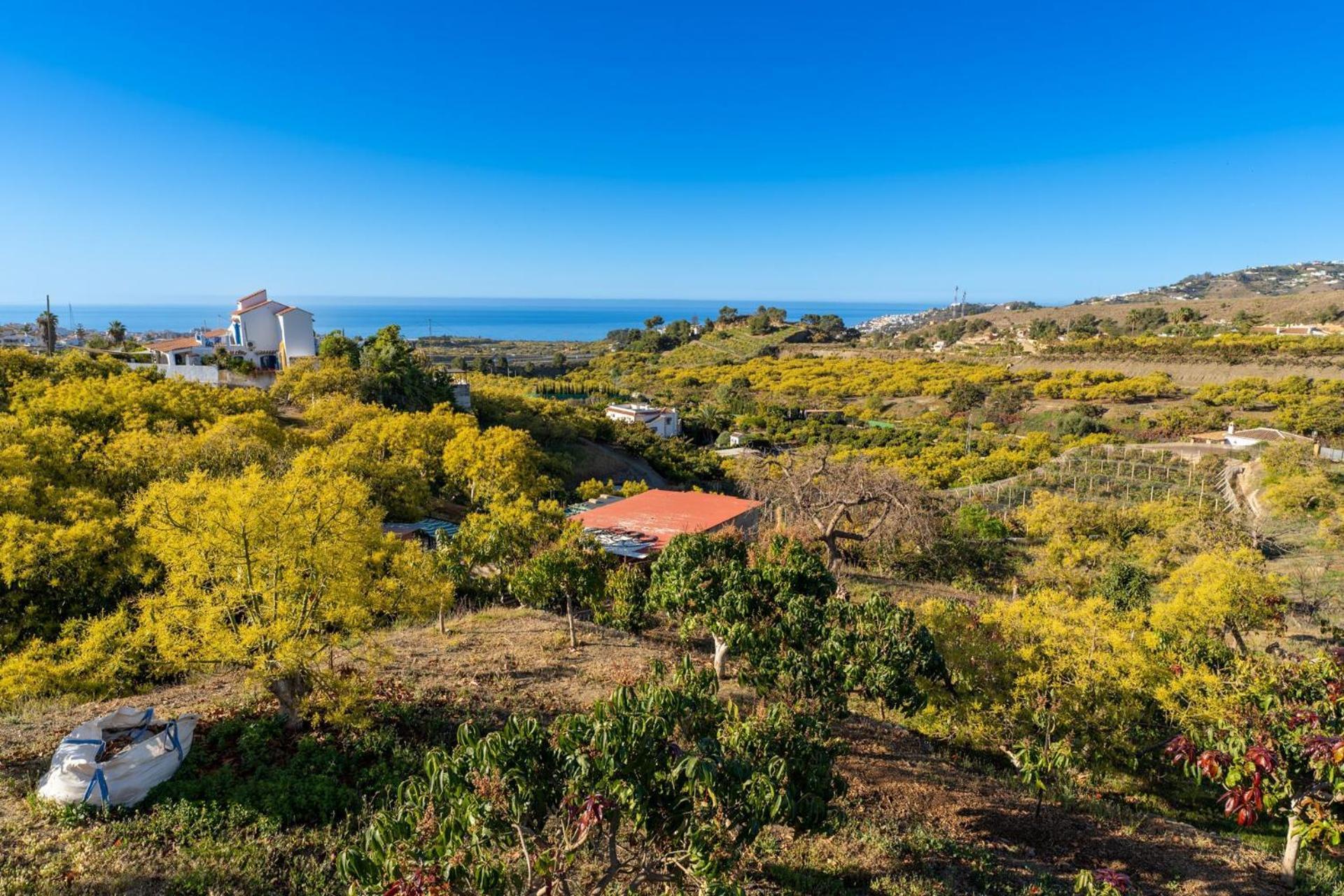 Casa Herrero Nerja Bagian luar foto